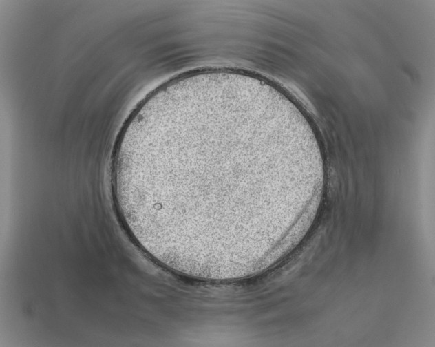 X0000112810895200910021138