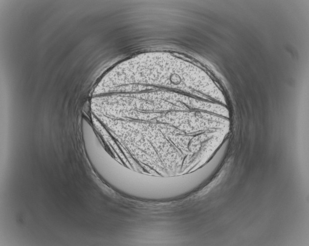 X0000112810897200910021138