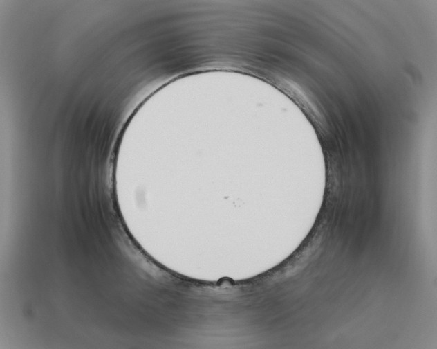 X0000112810900200910021138