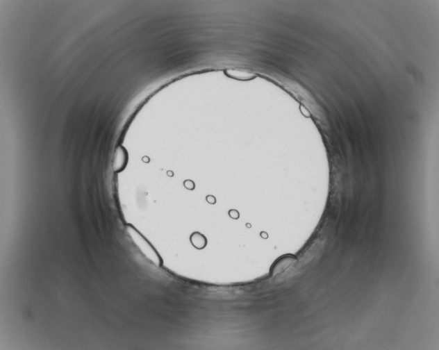 X0000112810904200910021138
