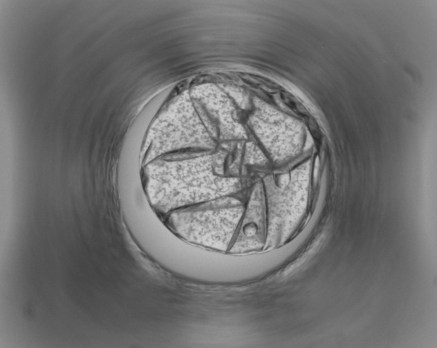 X0000112810905200910021138
