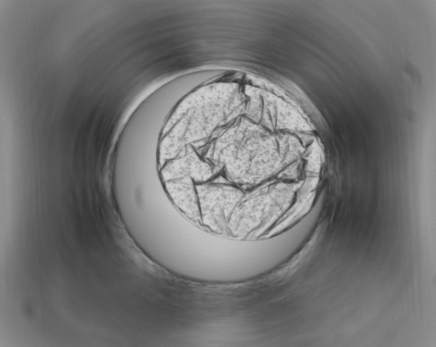 X0000112810908200910021138