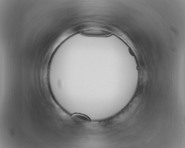 X0000112810909200910021138