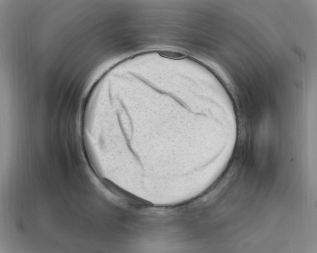 X0000112810910200910021138