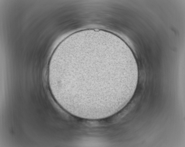 X0000112810911200910021138