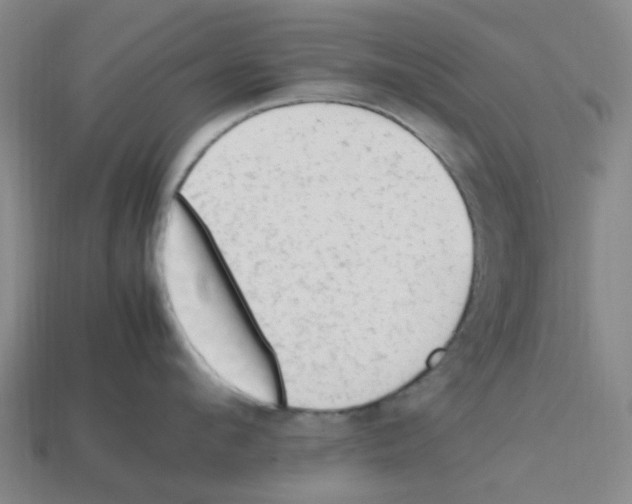 X0000112810912200910021138