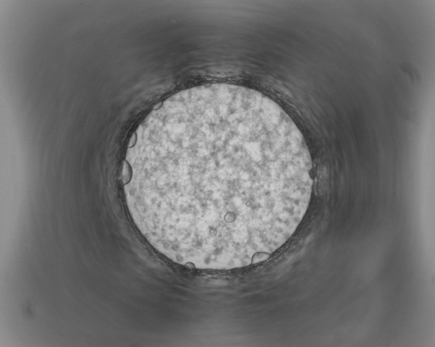 X0000112810913200910021137