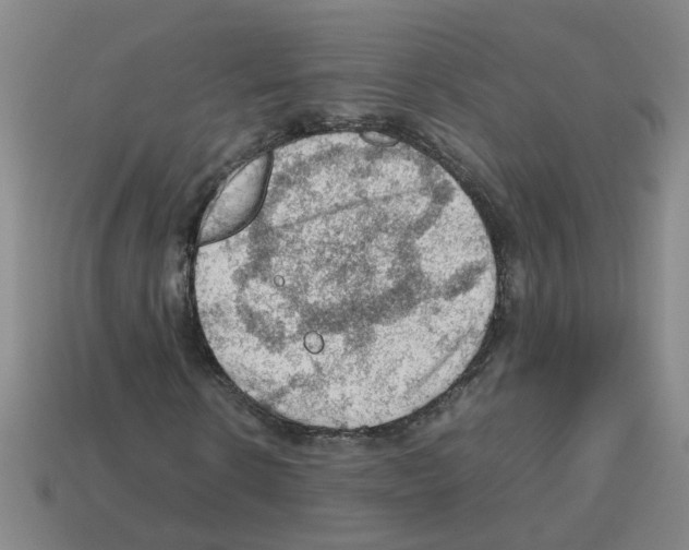 X0000112810914200910021137