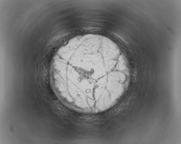 X0000112810917200910021137