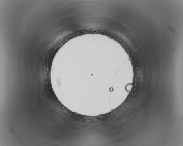 X0000112810918200910021137