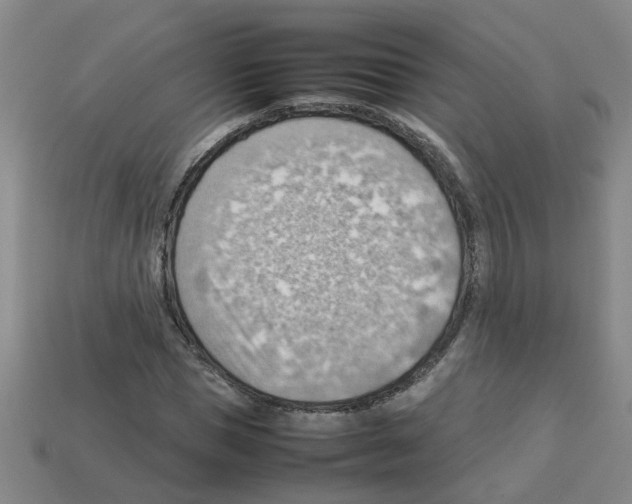 X0000112810921200910021137