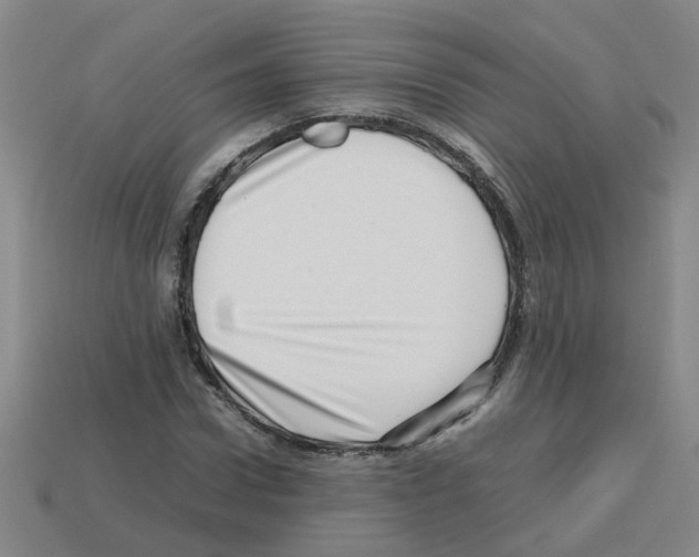 X0000112810922200910021137