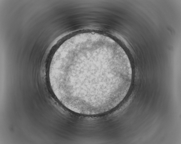 X0000112810923200910021138