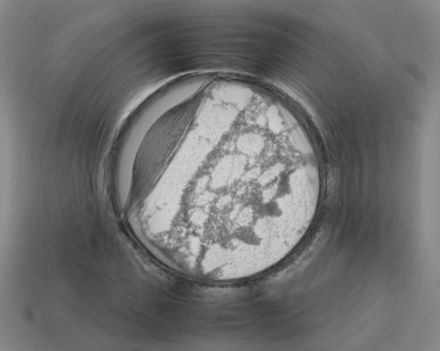 X0000112810925200910021138