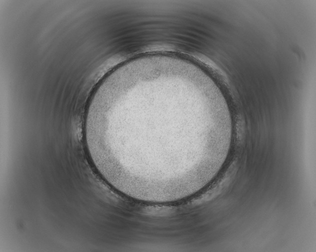 X0000112810929200910021138