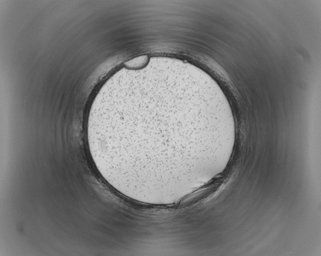 X0000112810930200910021138
