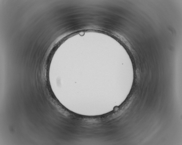 X0000112810931200910021138