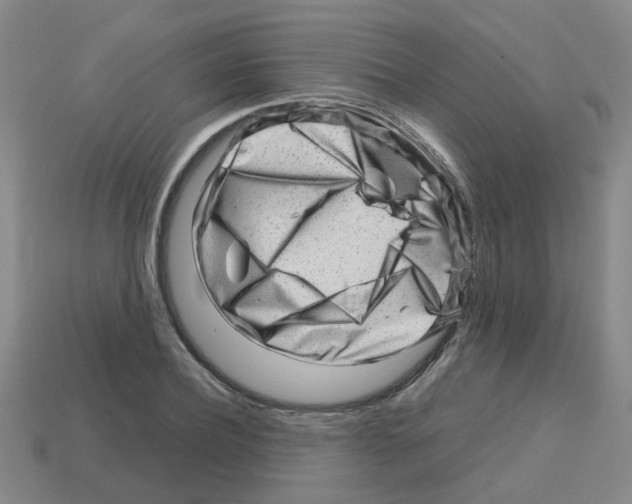 X0000112810932200910021138