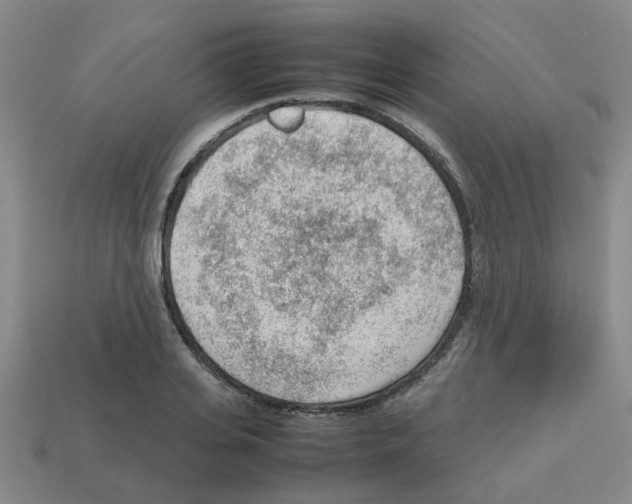 X0000112810935200910021138