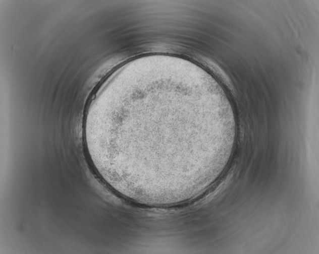 X0000112810938200910021138