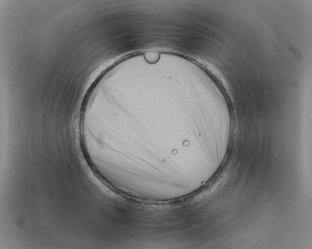 X0000112810941200910021138