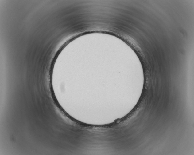 X0000112810942200910021138