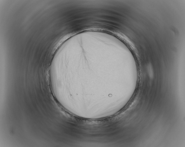 X0000112810945200910021138