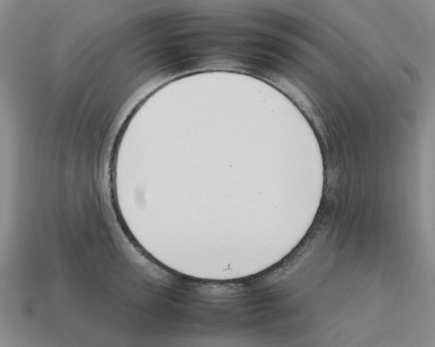 X0000112810947200910021138