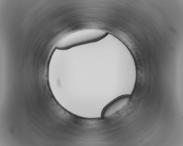 X0000112810948200910021138
