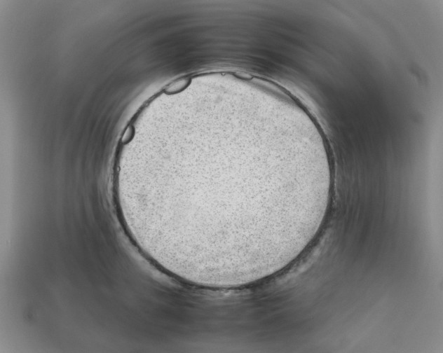 X0000112810949200910021138