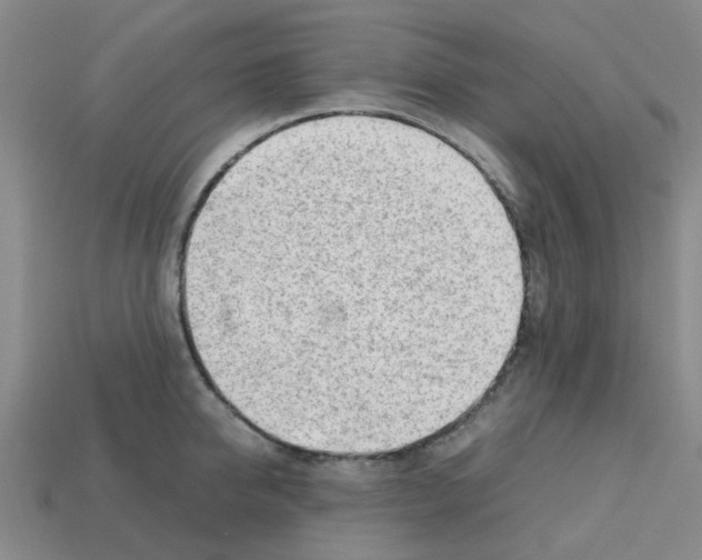 X0000112810950200910021138