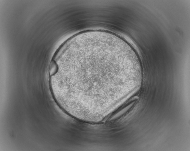 X0000112810951200910021138