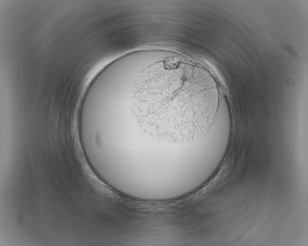 X0000112810952200910021138