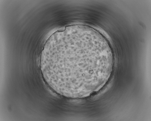 X0000112810953200910021138