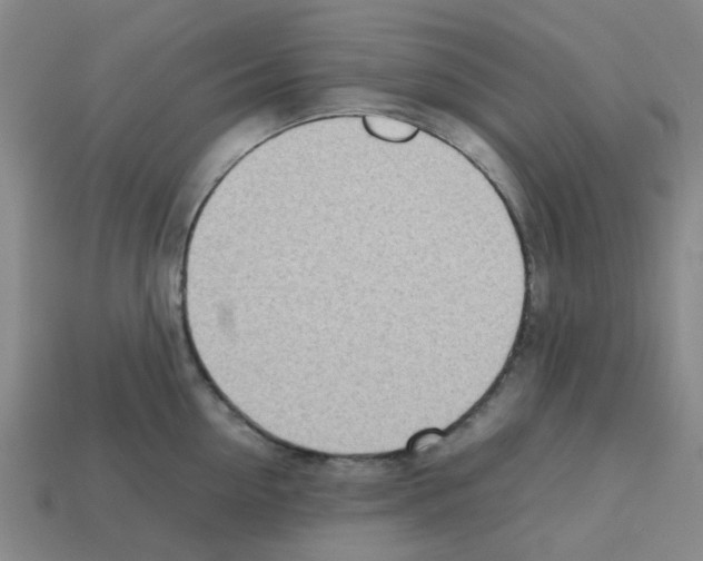 X0000112810954200910021138