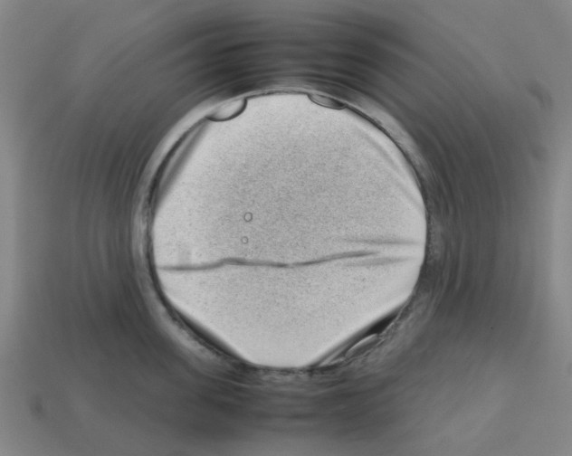 X0000112810955200910021138
