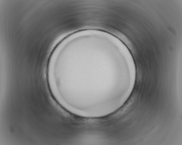 X0000112810958200910021138