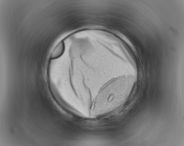 X0000112810959200910021138