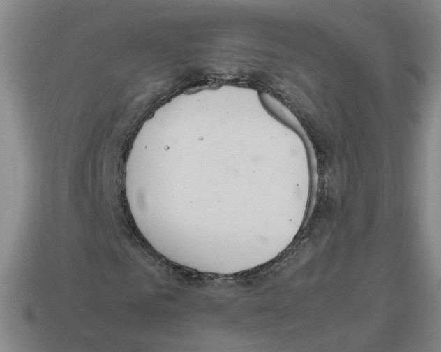 X0000112810961200910021137