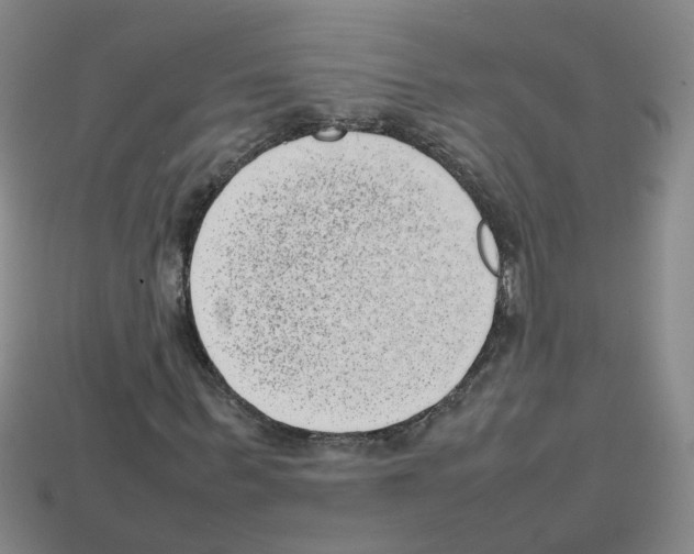 X0000112810963200910021137
