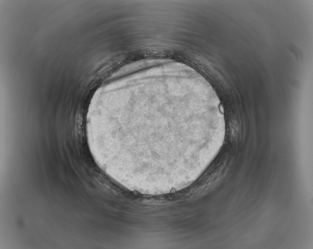 X0000112810964200910021137