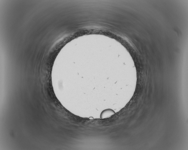 X0000112810967200910021137