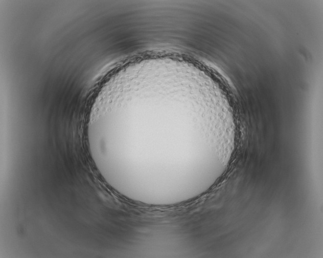 X0000112810968200910021137