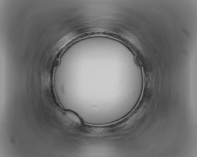 X0000112810969200910021137