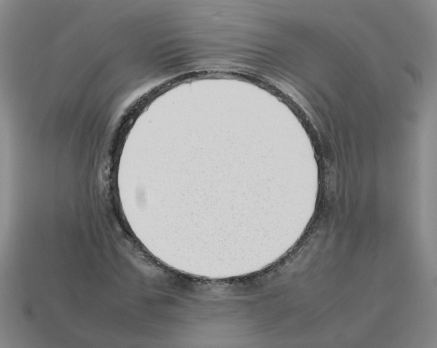 X0000112810971200910021137