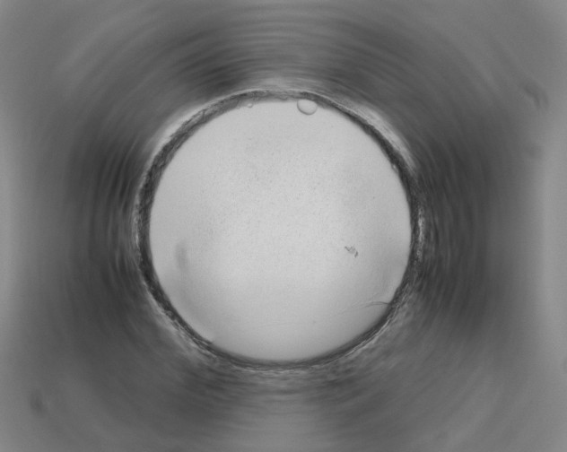 X0000112810972200910021137