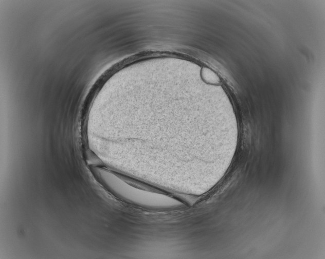 X0000112810976200910021137