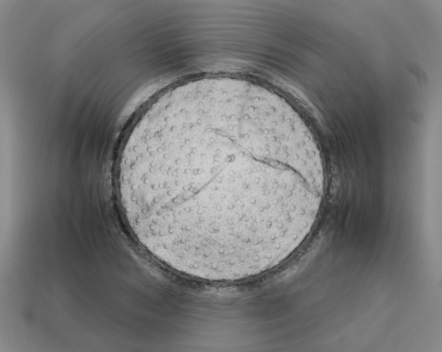 X0000112810978200910021137