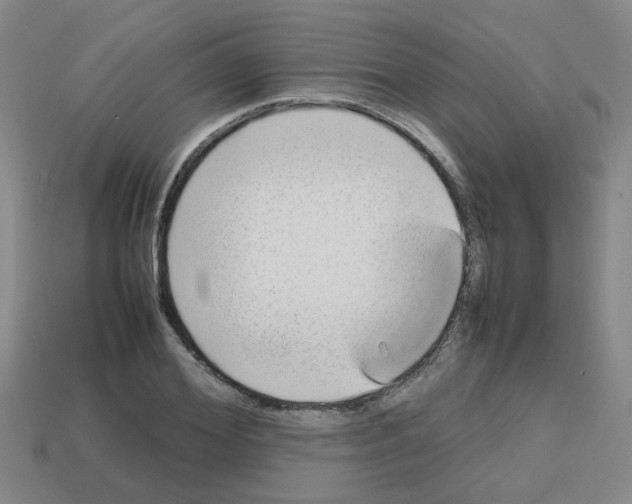 X0000112810980200910021137