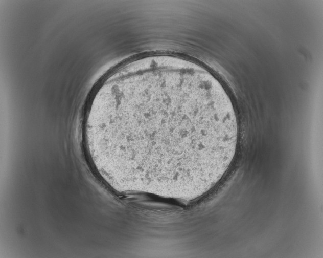 X0000112810983200910021137